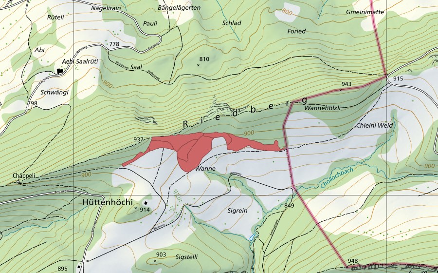 swisstopo national map showing the protected perimeter of Wanne (Dry meadow)