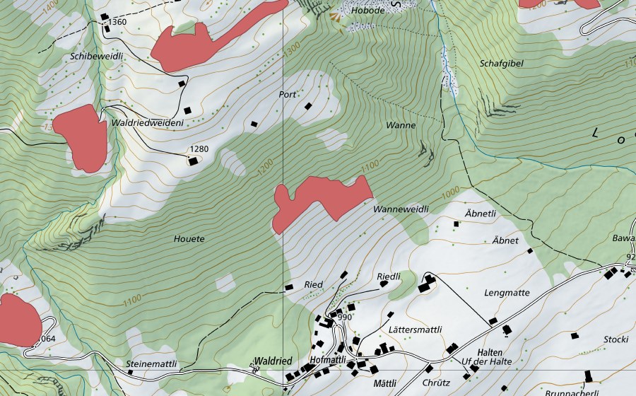 swisstopo national map showing the protected perimeter of Wanne (Dry meadow)