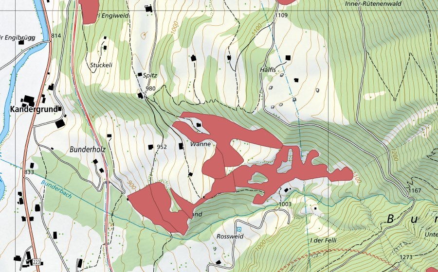 swisstopo national map showing the protected perimeter of Wanne (Dry meadow)