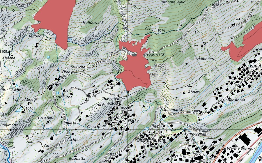 Landeskarte swisstopo mit dem Schutzperimeter von Wasen (Trockenwiese)
