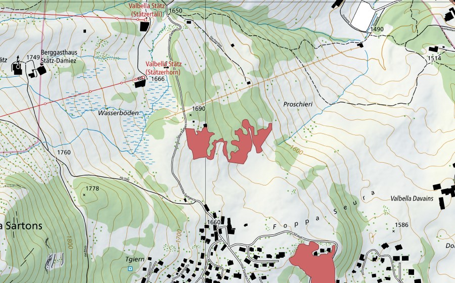 swisstopo national map showing the protected perimeter of Wasserböden (Dry meadow)