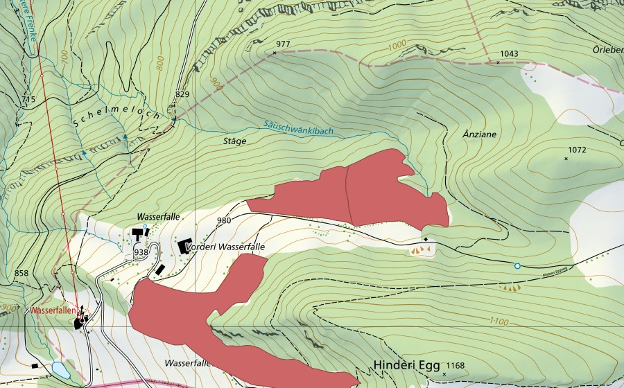 swisstopo national map showing the protected perimeter of Wasserfallen (Dry meadow)