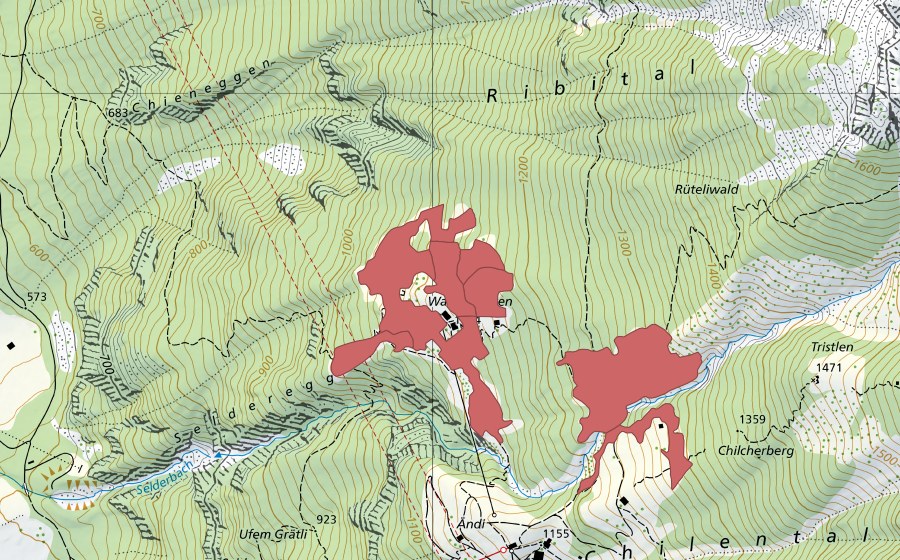 swisstopo national map showing the protected perimeter of Wasserplatten (Dry meadow)