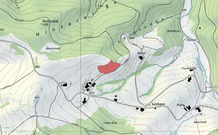 swisstopo national map showing the protected perimeter of Weid (Dry meadow)
