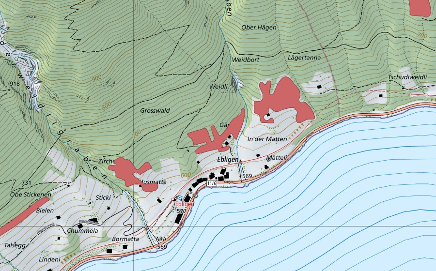 Landeskarte swisstopo mit dem Schutzperimeter von Weid (Trockenwiese)
