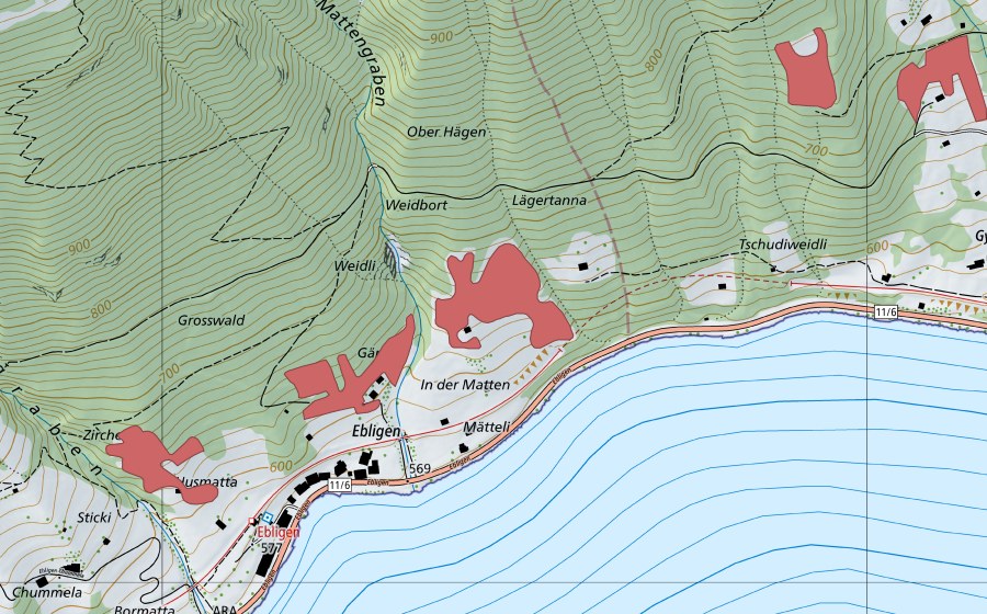 swisstopo national map showing the protected perimeter of Weid (Dry meadow)