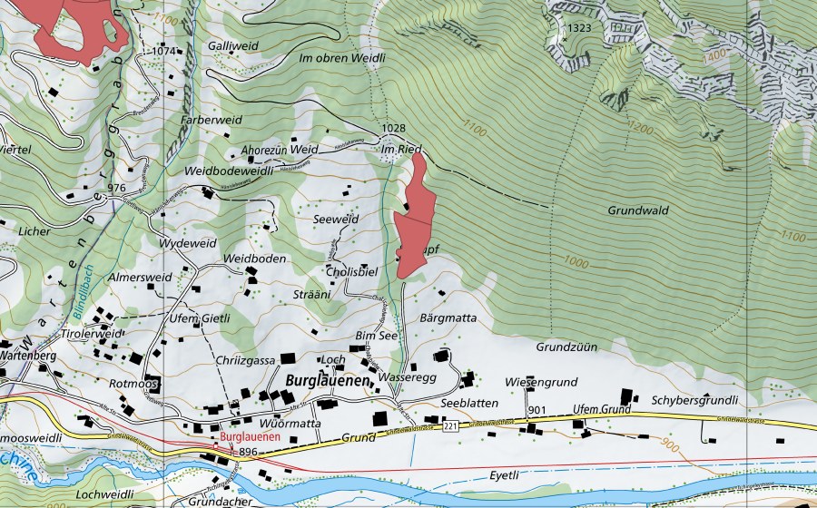 Carte nationale swisstopo avec le périmètre protégé de Weidboden (Prairie sèche)
