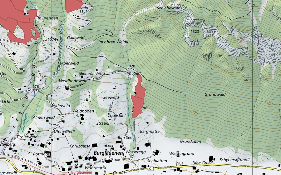 swisstopo national map showing the protected perimeter of Weidboden (Dry meadow)