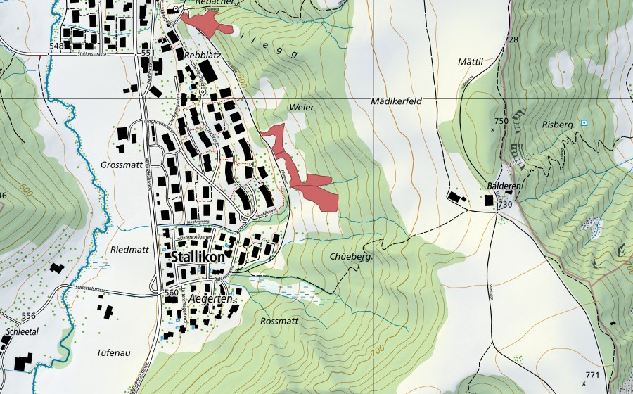 swisstopo national map showing the protected perimeter of Weier (Dry meadow)