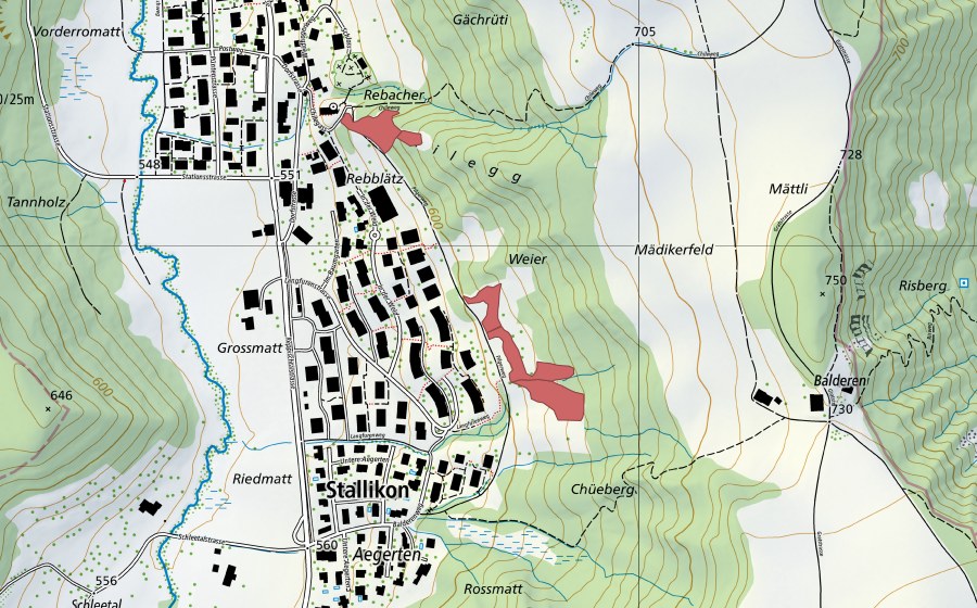 Landeskarte swisstopo mit dem Schutzperimeter von Weier (Trockenwiese)