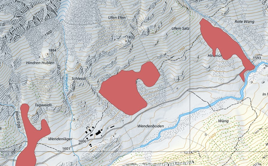swisstopo national map showing the protected perimeter of Weng (Dry meadow)
