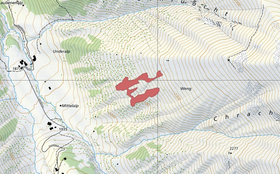 Landeskarte swisstopo mit dem Schutzperimeter von Weng (Trockenwiese)