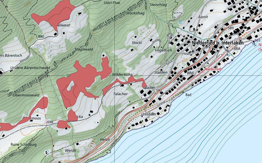Carte nationale swisstopo avec le périmètre protégé de Widi (Prairie sèche)