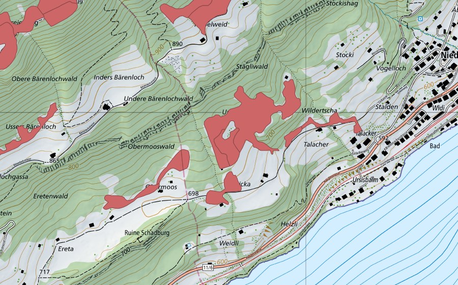 swisstopo national map showing the protected perimeter of Widi (Dry meadow)