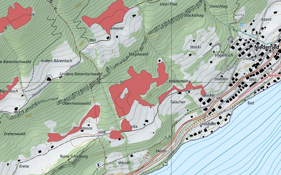 Carte nationale swisstopo avec le périmètre protégé de Widi (Prairie sèche)
