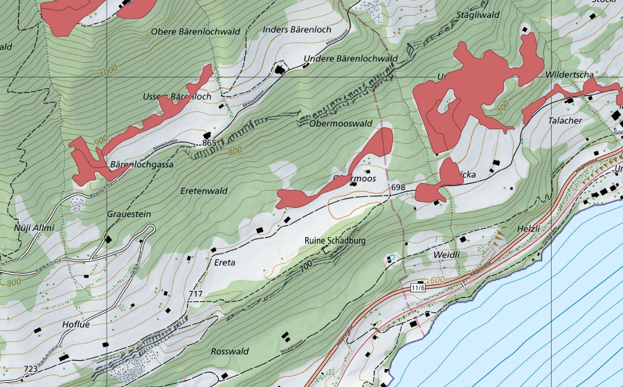 Carte nationale swisstopo avec le périmètre protégé de Widi (Prairie sèche)