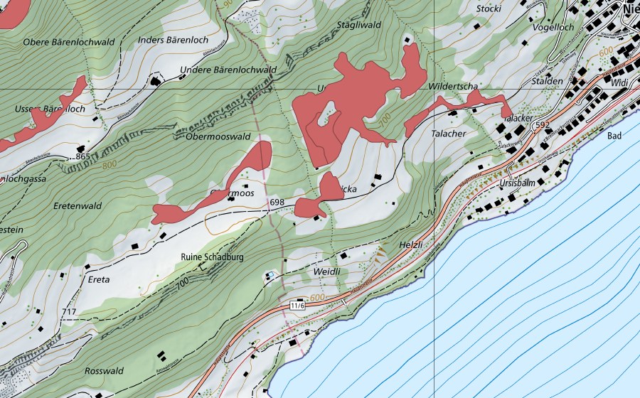 Carte nationale swisstopo avec le périmètre protégé de Widi (Prairie sèche)
