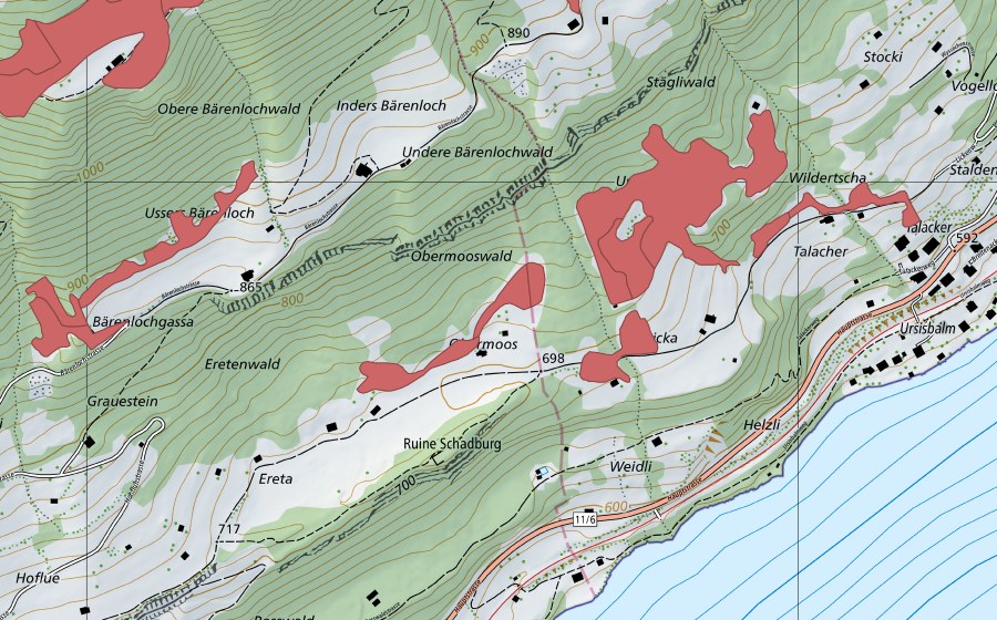 swisstopo national map showing the protected perimeter of Widi (Dry meadow)