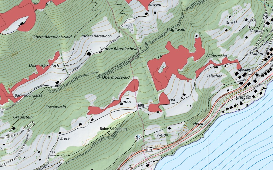 Landeskarte swisstopo mit dem Schutzperimeter von Widi (Trockenwiese)