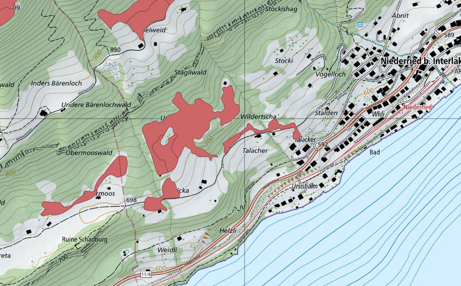 Landeskarte swisstopo mit dem Schutzperimeter von Widi (Trockenwiese)