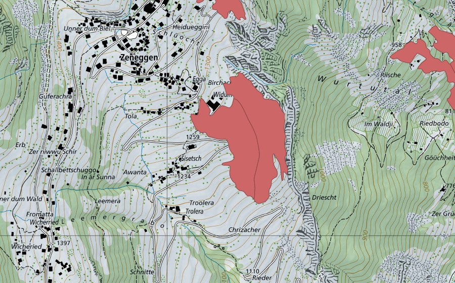 swisstopo national map showing the protected perimeter of Widum (Dry meadow)