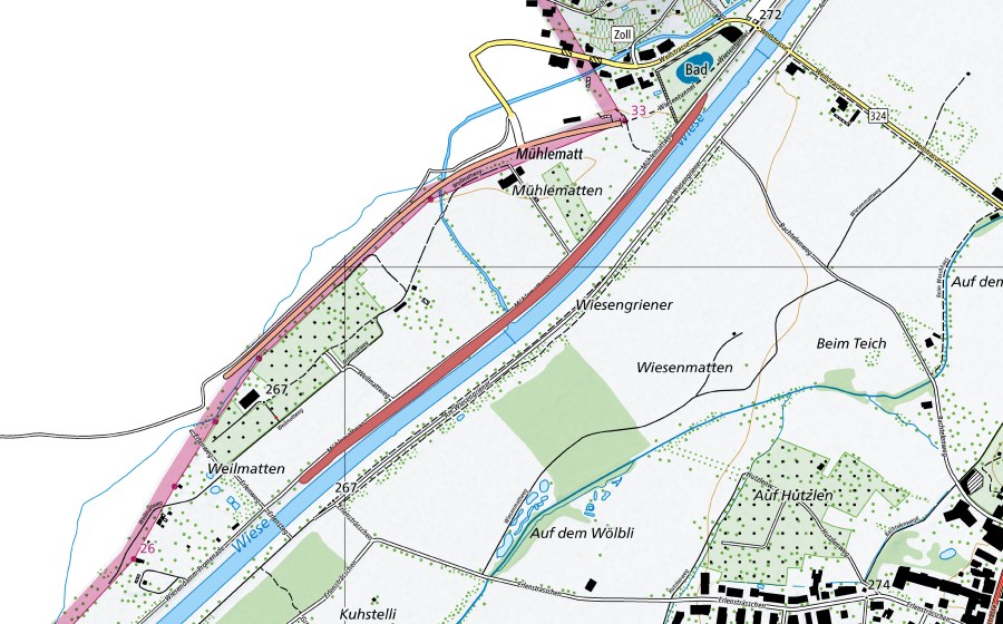 Landeskarte swisstopo mit dem Schutzperimeter von Wiesengriener (Trockenwiese)