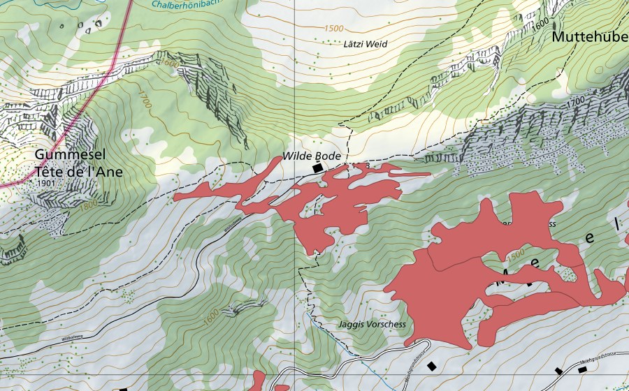 swisstopo national map showing the protected perimeter of Wilde Bode (Dry meadow)