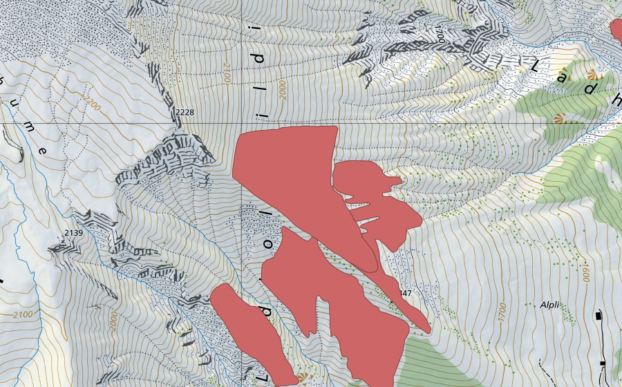 Landeskarte swisstopo mit dem Schutzperimeter von Wildi (Trockenwiese)