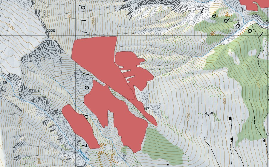 Landeskarte swisstopo mit dem Schutzperimeter von Wildi (Trockenwiese)