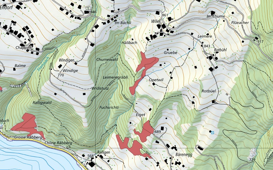 Landeskarte swisstopo mit dem Schutzperimeter von Wiler (Trockenwiese)