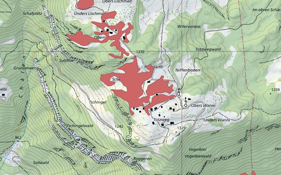 swisstopo national map showing the protected perimeter of Wilervorsess (Dry meadow)