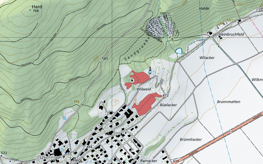 Landeskarte swisstopo mit dem Schutzperimeter von Wilweid (Trockenwiese)