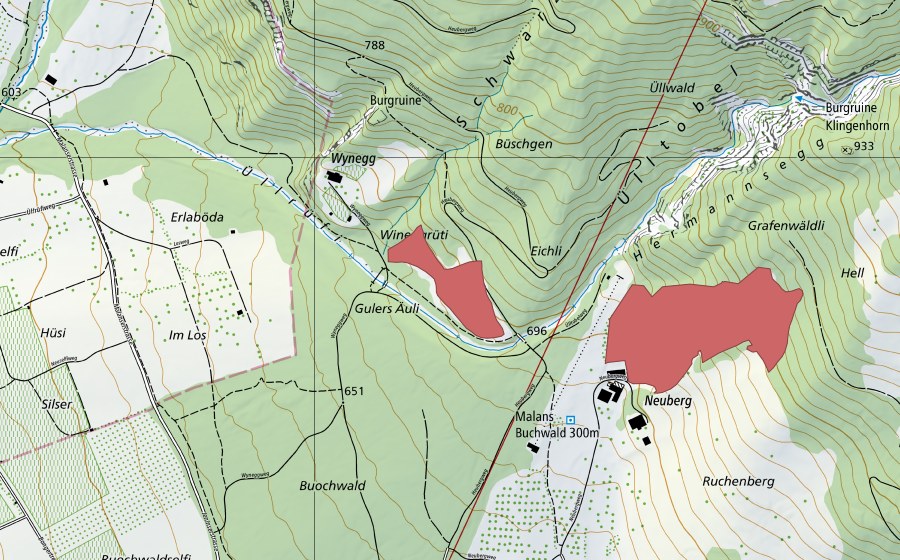 Landeskarte swisstopo mit dem Schutzperimeter von Wineggrüti (Trockenwiese)