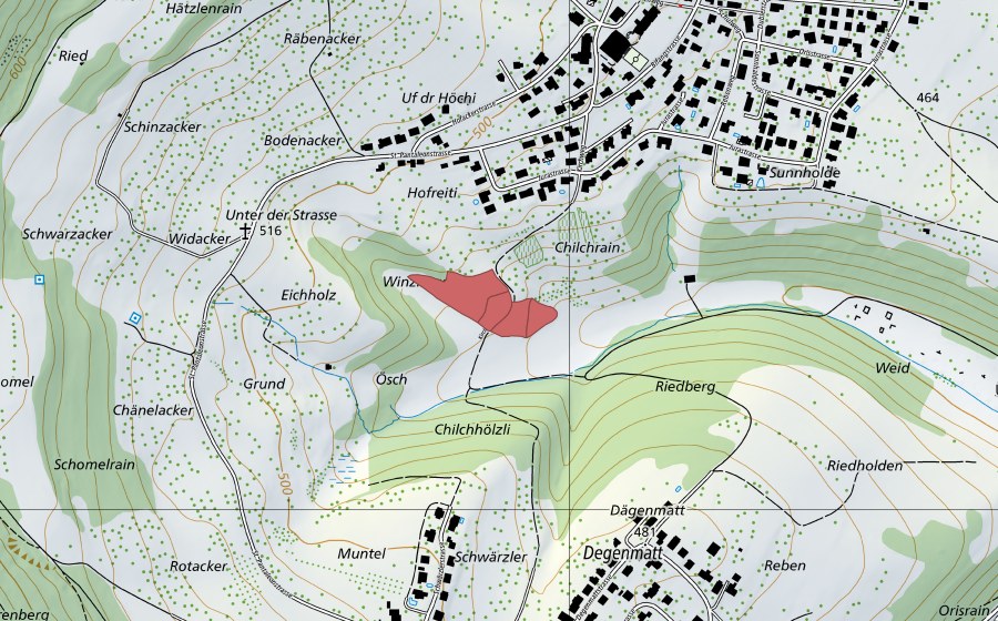 Landeskarte swisstopo mit dem Schutzperimeter von Winzligen (Trockenwiese)