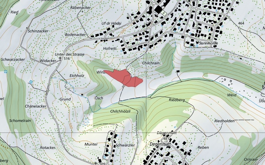 Landeskarte swisstopo mit dem Schutzperimeter von Winzligen (Trockenwiese)