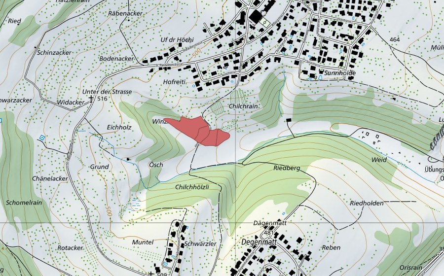 Landeskarte swisstopo mit dem Schutzperimeter von Winzligen (Trockenwiese)