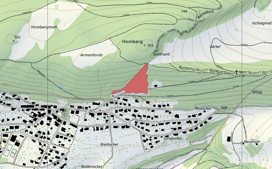 swisstopo national map showing the protected perimeter of Wisigweid (Dry meadow)