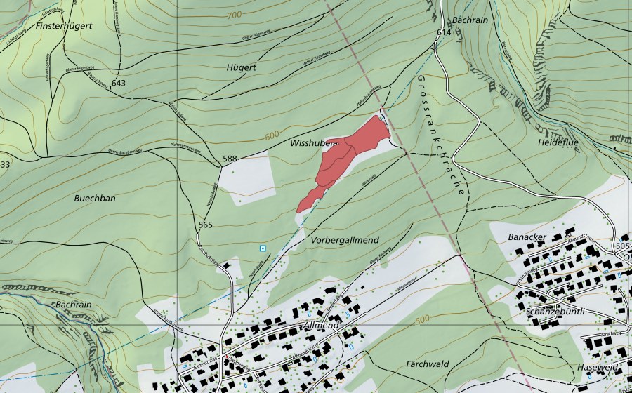 Landeskarte swisstopo mit dem Schutzperimeter von Wisshubel-Allmend (Trockenwiese)