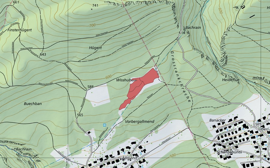 Landeskarte swisstopo mit dem Schutzperimeter von Wisshubel-Allmend (Trockenwiese)