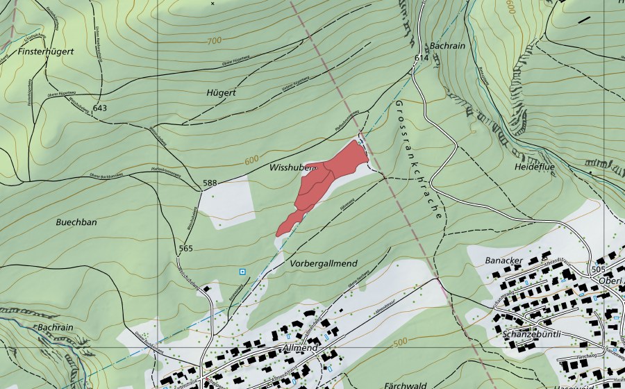 Carte nationale swisstopo avec le périmètre protégé de Wisshubel-Allmend (Prairie sèche)