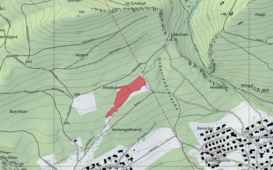 Landeskarte swisstopo mit dem Schutzperimeter von Wisshubel-Allmend (Trockenwiese)