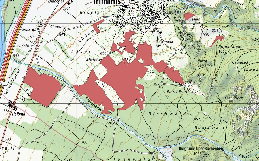 Landeskarte swisstopo mit dem Schutzperimeter von Witenen (Trockenwiese)