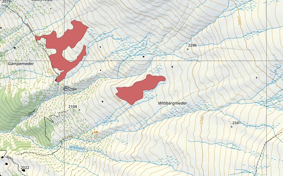 Carte nationale swisstopo avec le périmètre protégé de Witibergmeder (Prairie sèche)