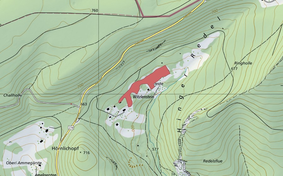 Carte nationale swisstopo avec le périmètre protégé de Wizleste (Prairie sèche)