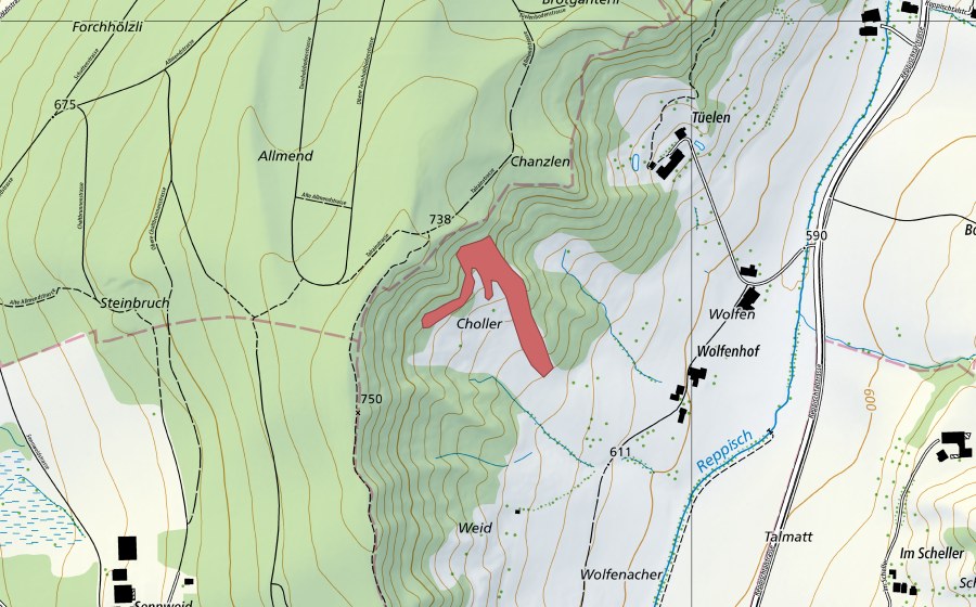 swisstopo national map showing the protected perimeter of Wolfen (Dry meadow)