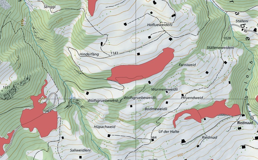 swisstopo national map showing the protected perimeter of Wolfsgruebeweid (Dry meadow)