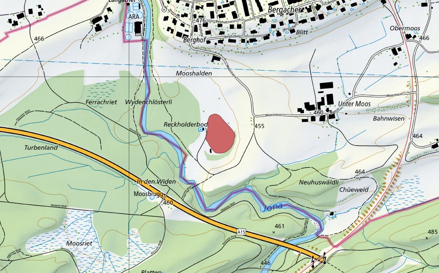 swisstopo national map showing the protected perimeter of Wydenchlösterli (Dry meadow)