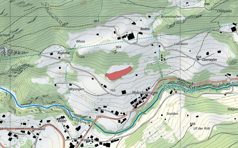 Carte nationale swisstopo avec le périmètre protégé de Wyler Sunnsyten (Prairie sèche)