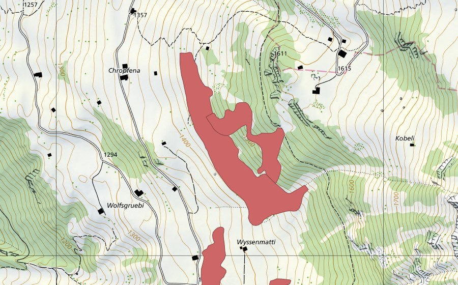 Landeskarte swisstopo mit dem Schutzperimeter von Wyssematti (Trockenwiese)