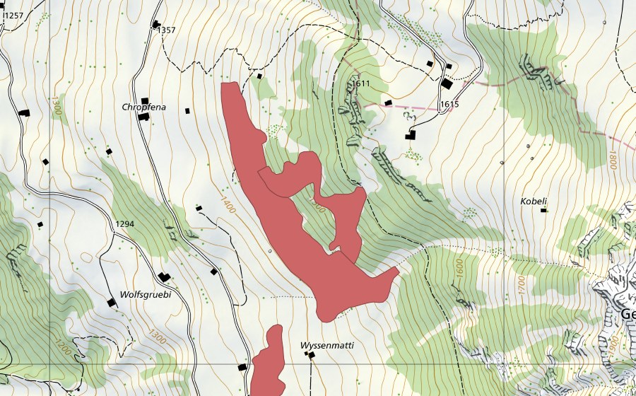 swisstopo national map showing the protected perimeter of Wyssematti (Dry meadow)